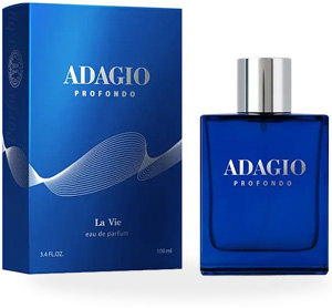 Парфюмерная вода DILIS PARFUM Adagio Profondo