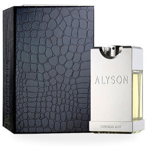Парфюмерная вода ALYSON OLDOINI Chocman Mint