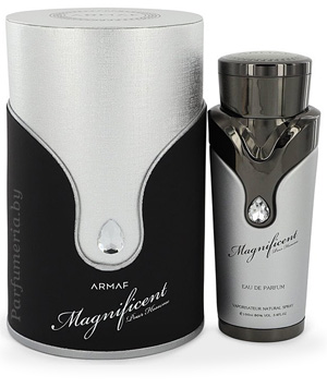 Парфюмерная вода ARMAF Magnificent Pour Homme