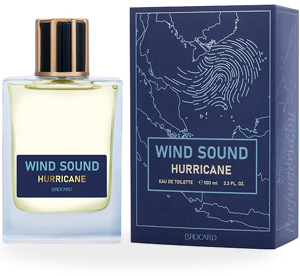Туалетная вода BROCARD Wind Sound Hurricane