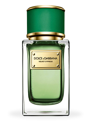 Парфюмерная вода DOLCE & GABBANA Velvet Cypress