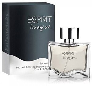 Туалетная вода ESPRIT Imagine for Him
