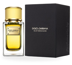 Парфюмерная вода DOLCE & GABBANA Velvet Mimosa Bloom