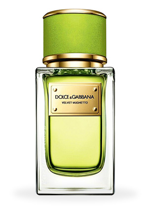 Парфюмерная вода DOLCE & GABBANA Velvet Mughetto