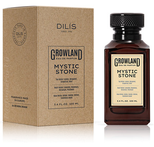 Парфюмерная вода DILIS PARFUM Mystic Stone
