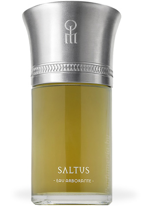 Парфюмерная вода LES LIQUIDES IMAGINAIRES Saltus
