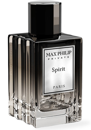 Парфюмерная вода MAX PHILIP Spirit