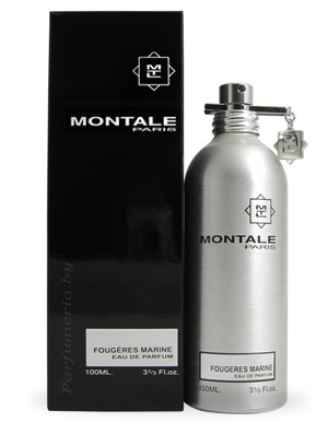  MONTALE Fougeres Marine