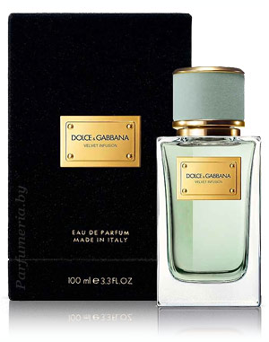 Парфюмерная вода DOLCE & GABBANA Velvet Infusion