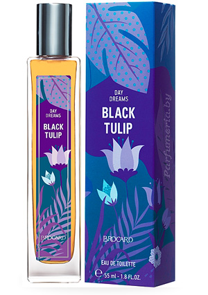  BROCARD Day Dreams Black Tulip
