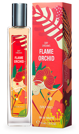  BROCARD Day Dreams Flame Orhid