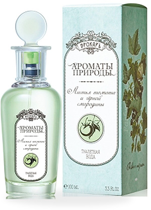  BROCARD Листья томата и черной смородины