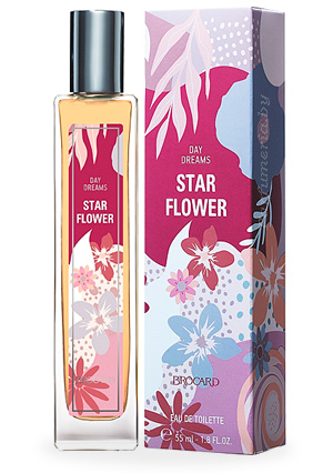  BROCARD Day Dreams Star Flower